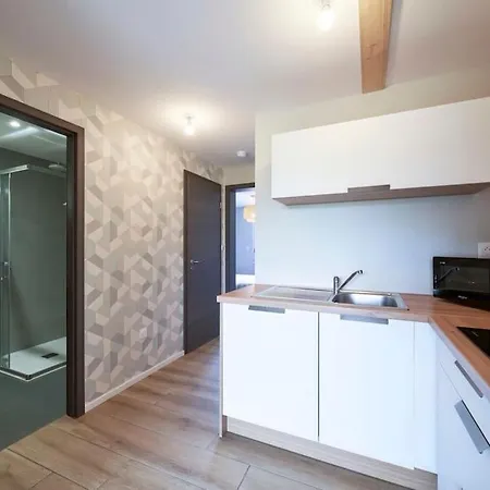 Le Scandinave Centre Ville/2 + Terrasse Appartement
